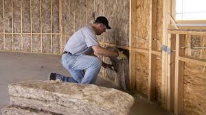 Best Crawl Space Insulation  in Libertyvle, IL